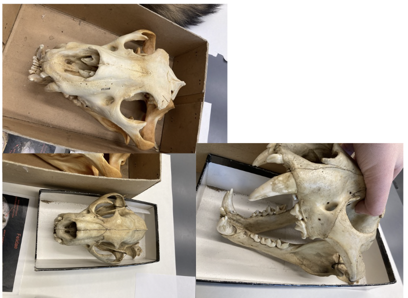 <p>What is this?</p>