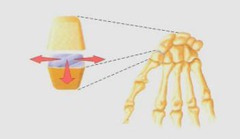 <p>Non-axial The flat surface of one bone slides in many directions along the flat surface of another bone.</p>