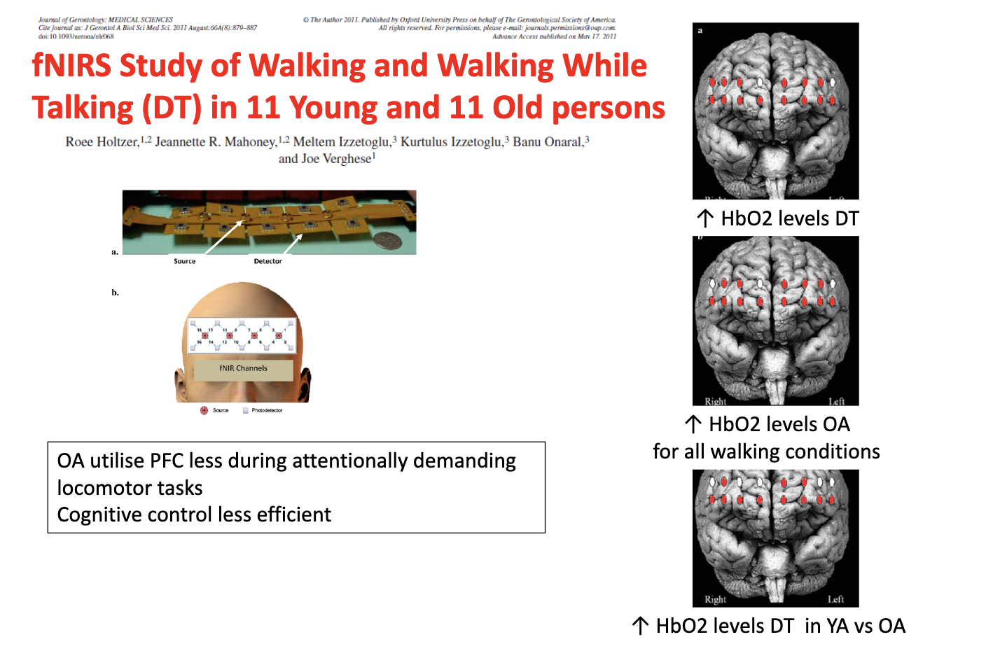 <ul><li><p><strong>Dual-task (walking + talking) → ↑ PFC activity (↑ HbO₂)</strong></p></li><li><p><strong>Older adults (OA):</strong></p><ul><li><p>↑ HbO₂ across <em>all</em> walking conditions</p></li><li><p>BUT <strong>less efficient PFC use</strong></p></li><li><p><strong>Reduced cognitive control</strong></p></li></ul></li><li><p><strong>Young adults (YA):</strong></p><ul><li><p><strong>Greater PFC activation specifically during dual-task</strong></p></li></ul></li></ul><p>→ Ageing = <strong>less efficient neural recruitment + compensatory overactivation</strong></p>