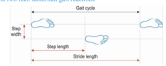 <p>measured from heel center of footprint to heel center of the footprint of opposite foot</p>