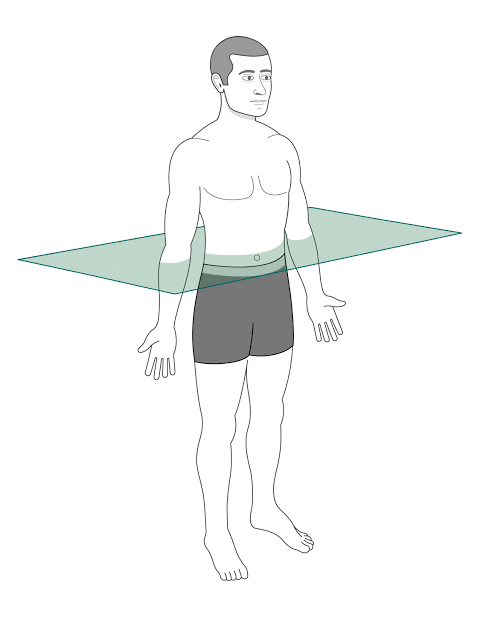 <p>Passes crosswise through the body or a body part at right angles to the longitudinal axis. It is positioned at a right angle to the sagittal and coronal planes. This plane divides the body into superior and inferior portions. Often it is referred to as an axial, transverse, or cross-sectional plane</p>