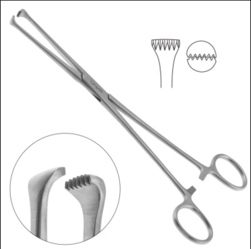 <p>What is this instrument?</p>
