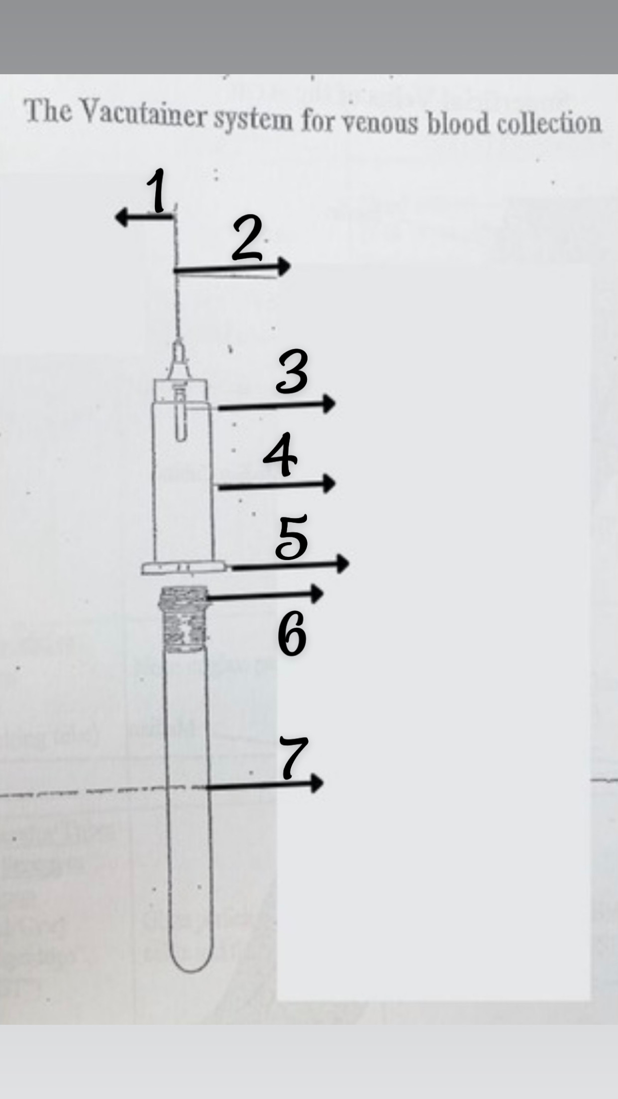 <p>spot 3</p>