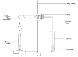 <p>The limewater goes cloudy. Ca(OH)<sub>2</sub> (ag) + CO<sub>2</sub> (g) → CaCO<sub>3</sub> (s) + H<sub>2</sub>O (l).</p>
