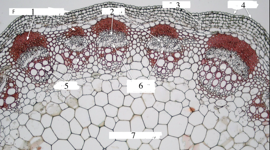 <p>4</p>