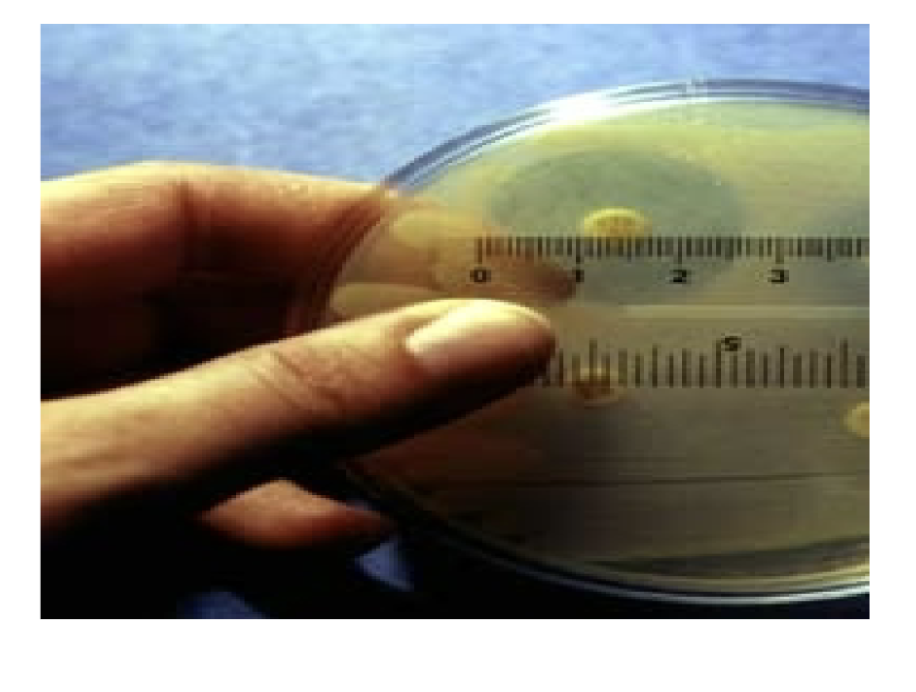 <p>what is the size (hard to tell)</p>