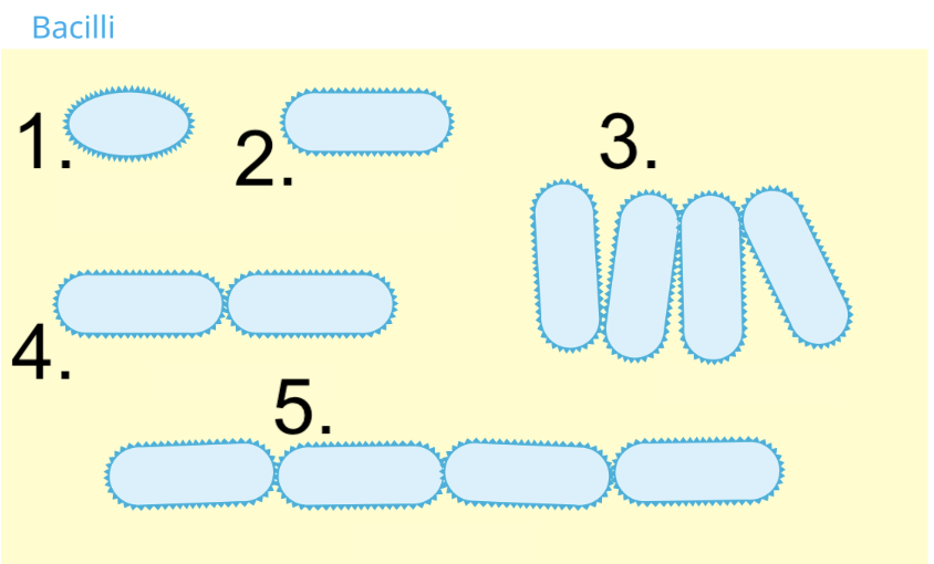<p>Name these shapes and arrangements</p>