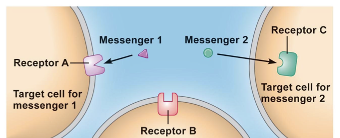 <p>what is this an example of?</p>