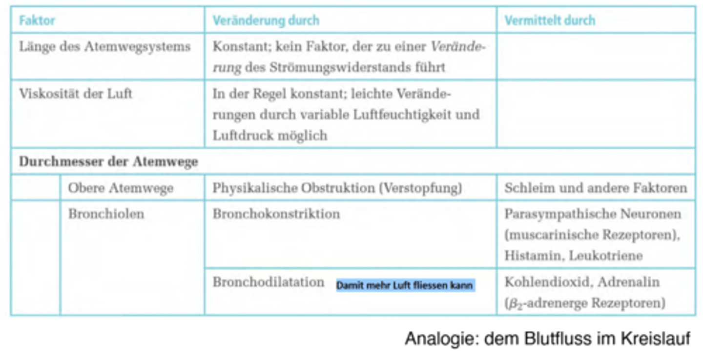 <p>Vom Durchmesser der Gefässe (Analogie mit Blutkreislauf)</p><p>-> Tabelle anschauen & verinnerlichen</p>
