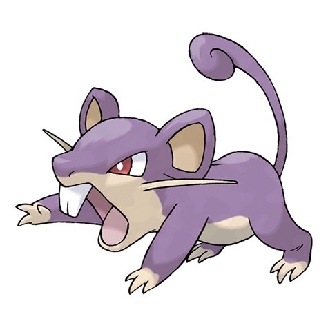 <p>What type is Rattata?</p>