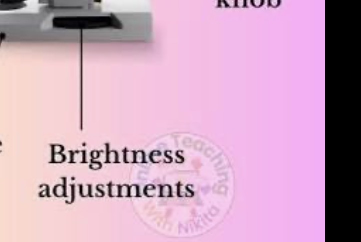 <p>The light control, and it makes the light brighter or darker.</p>