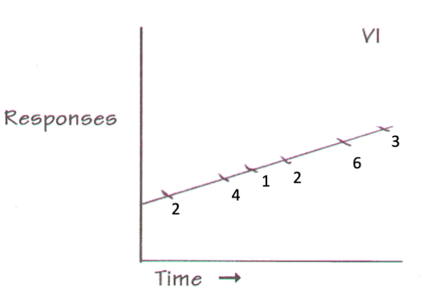 <p><span style="background-color: transparent;"><strong><span>Variable Interval (VI)</span></strong></span></p>