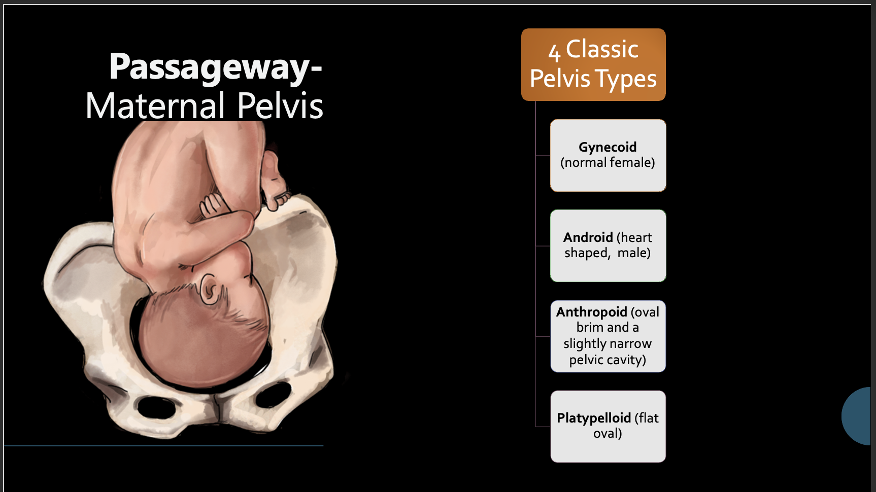 <p>Passageway- Maternal Pelvis</p>