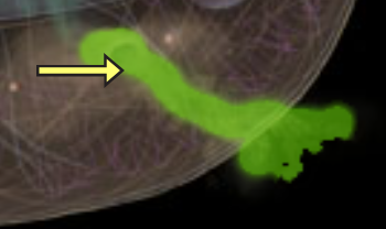 <p>Gen cell</p>