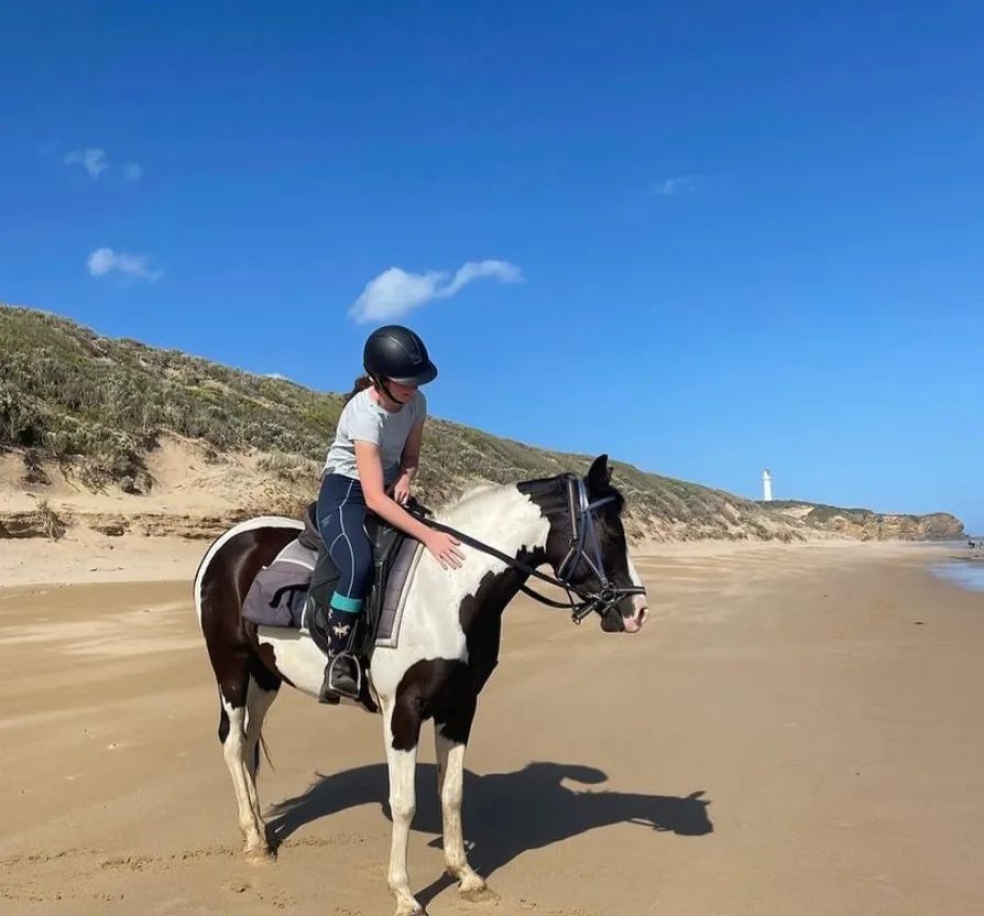 <p>go horseback riding</p>