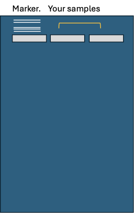 <p>You and your friend isolated plasmid DNA from a bactureail culture and measured the concentration on a nanodrop. The concentration your of the plasmid is 500ng/ul with a 260/280 ration of 2.02 and that of your friend's is 15ng/ul. Since your DNA has better concentration you offer your your plasmid DNA to your friend. You both use 1 ug of this DNA to perform two restriction enzyme digests that should give you two bands. Your friend ran their gel and saw two nice bands, but your gel looks like the one below.</p><p>What might have gone wrong with the gel?</p><ul><li><p><span>Forgot to add SYBR Safe&nbsp;</span></p></li><li><p><span>Ran the gel too long</span></p></li><li><p><span>Placed the gel towards the wrong electrodes</span></p></li><li><p><span>My sample did not have enough DNA</span></p></li></ul><p></p>