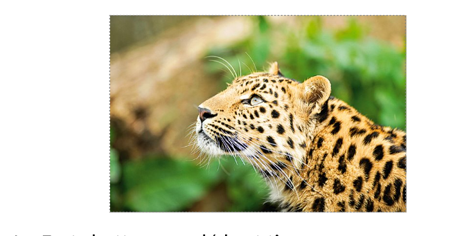 <p>Which of the following things were necessary to take this photograph?​</p>