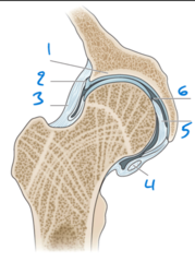 <p>6</p>