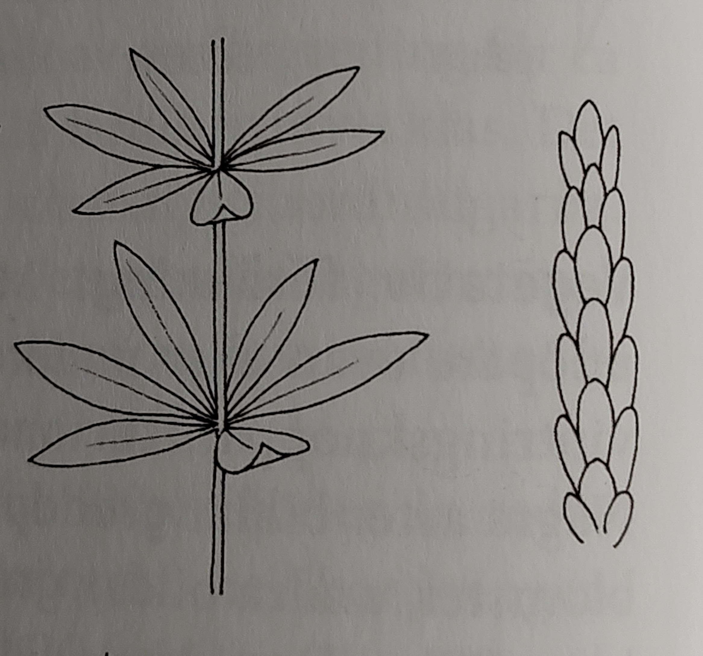 <p></p>