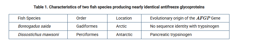 <p><span>Two species of fish that live in extremely cold environments produce near-identical antifreeze glycoproteins, called AFGPs. Scientists have determined the origins of the AFGP gene in both species. Selected characteristics of the two fish species are provided in Table 1.</span></p><p>Based on the information in Table 1, which of the following statements best describes the production of nearly identical AFGPs in these two species of fish?</p><p><strong>A)</strong>The fish eat the same type of food, which resulted in the evolution of similar digestive proteins.</p><p><strong>B) </strong>The fish live in environments with similar selective pressures, and those that produce AFGPs are better able to survive.</p><p><strong>C) </strong>The Antarctic fish species evolved into a separate species after being geographically isolated from the Arctic population because of commercial fishing.</p><p><strong>D) </strong>The production of AFGPs similar was due to random splicing of exons in both species.</p>