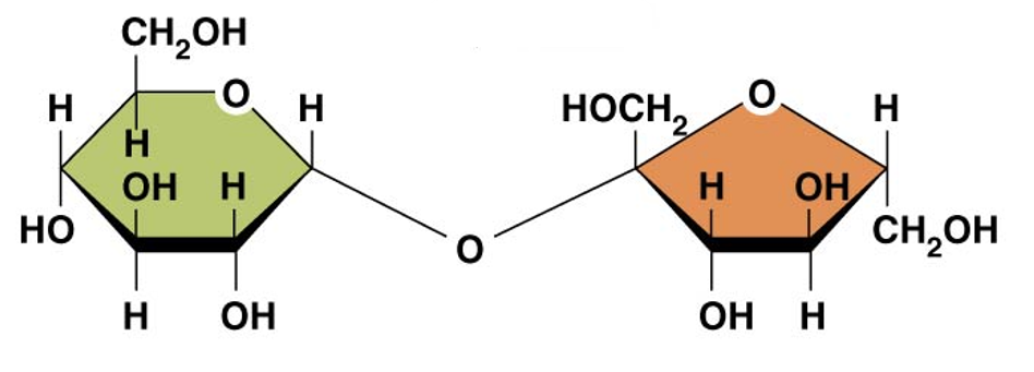 <p>which class of carbohydrates is this?</p>