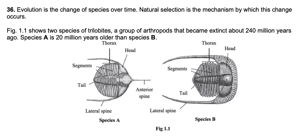 <p><strong>One such observation was “species B had longer lateral spines than species A”.</strong></p><p class="p1"><strong>Explain why this is not a valid observation to make on the basis of Fig. 1.1. (2 marks)</strong></p>
