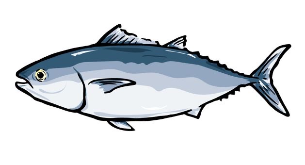 <p>Tuna fish</p>