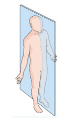 <p>Name this reference plane. It divides the body into left and right evenly.</p>