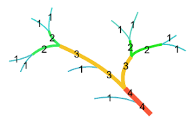 <p>a top-down dendritic classification of river systems to identify a hierarchy of tributaries within the system </p><ul><li><p>1st order + 1st order = 2nd order </p></li><li><p>2nd order + 2nd order = 3rd order, etc. </p></li></ul><p></p>