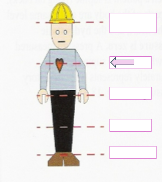 <p>When standing, the hydrostatic pressure at the indicated level is approximately ___mmHg</p>