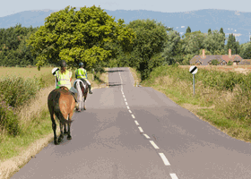 <p>What should you do when you see these horse riders in front?</p>