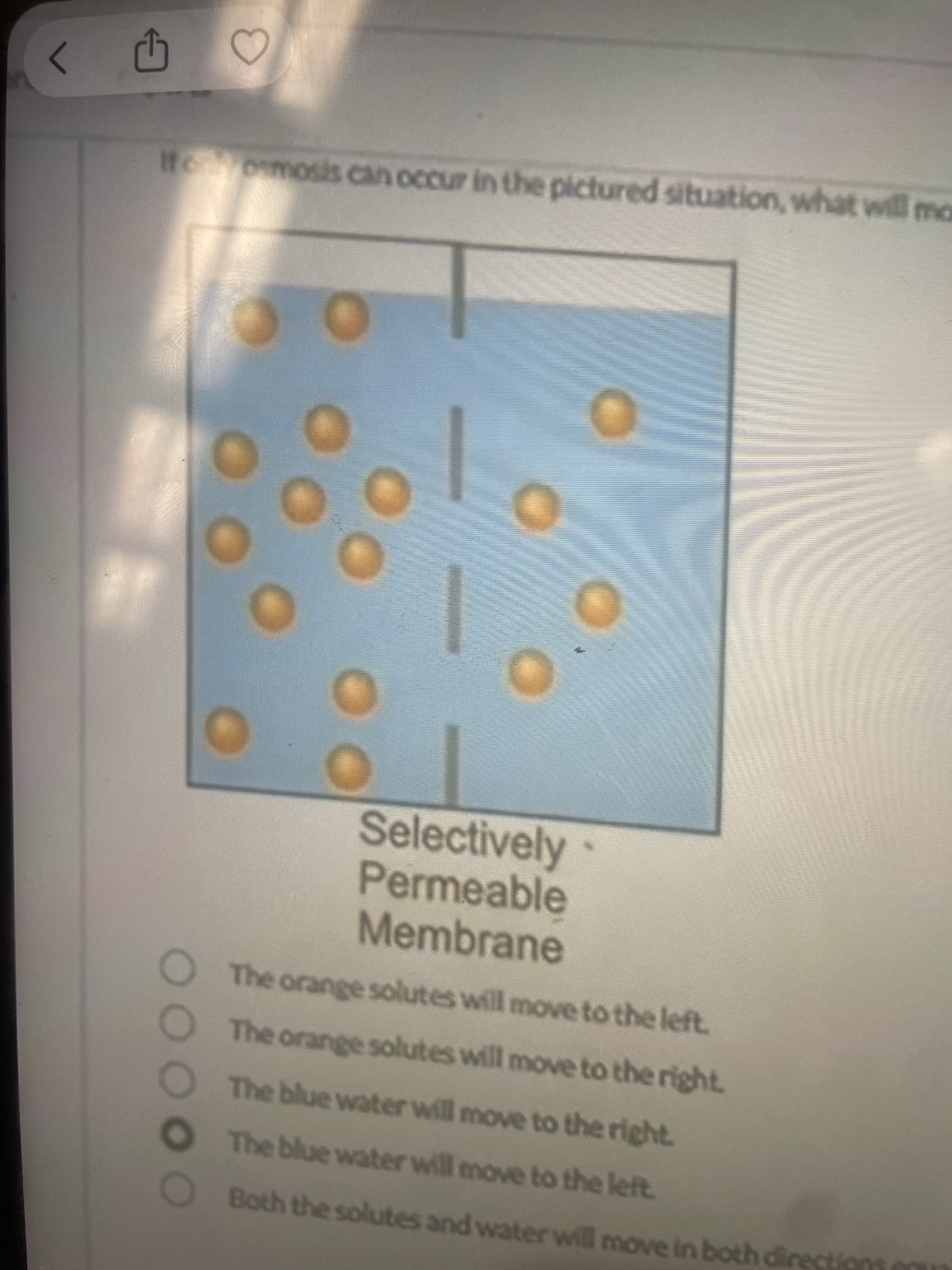 <p>If only osmosis can occur in the pictured situation, what will move across the membrane and which way will it go?</p>
