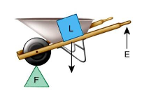 <p>Calves flexing to tip toe</p><p>Second class lever</p>