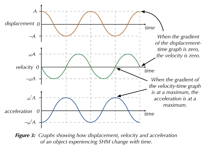 <ul><li><p>Displacement (Y-axis) varies as a cosine or sine wave with Amplitude as the max/min. </p></li><li><p>Velocity is the gradient of the displacement/time graph. Max value of ωA.</p></li><li><p>Acceleration is the gradient of the velocity time graph. Max value of ω²A.</p></li></ul><p></p>