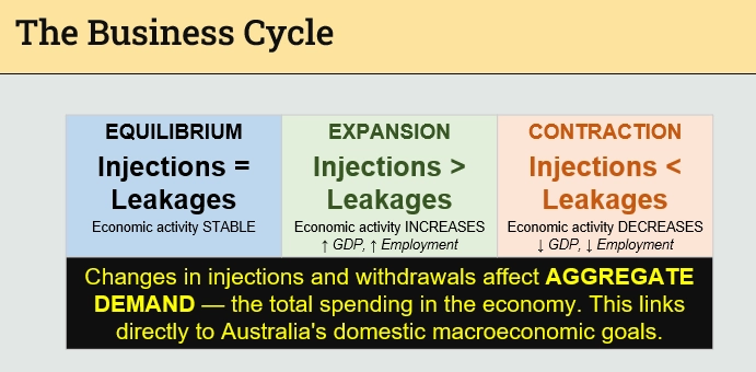 <p>the business cycle</p>