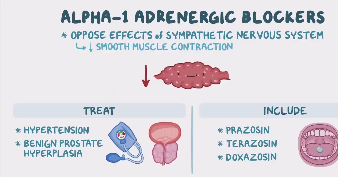 <p>Treats HTN and benign prostatic hyperplasia (BPH) by…</p><p>opposing effects of sympathetic nervous system, resulting in decreased smooth muscle contraction (including decreased vasoconstriction, mydriasis [pupil dilation], ejaculation, and bladder constriction</p>