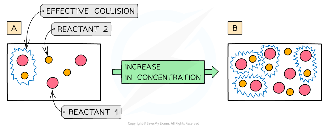<ul><li><p>Increasing the concentration means that there are more reactant particles in a given volume</p><ul><li><p>This causes more collisions per second</p></li><li><p>Leading to more frequent and successful collisions per second</p></li><li><p>Therefore, the rate of reaction increases&nbsp;</p></li></ul></li></ul><p><span>number of collisions is&nbsp;</span><strong>proportional</strong><span>&nbsp;to the number of particles present</span></p>
