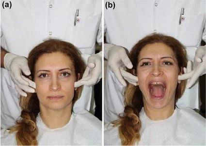<p>Temporal Mandible Joint</p>