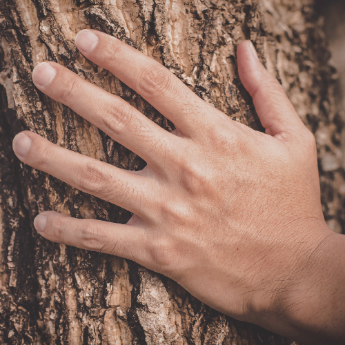 <p>Touch - <em>Tatch</em></p>