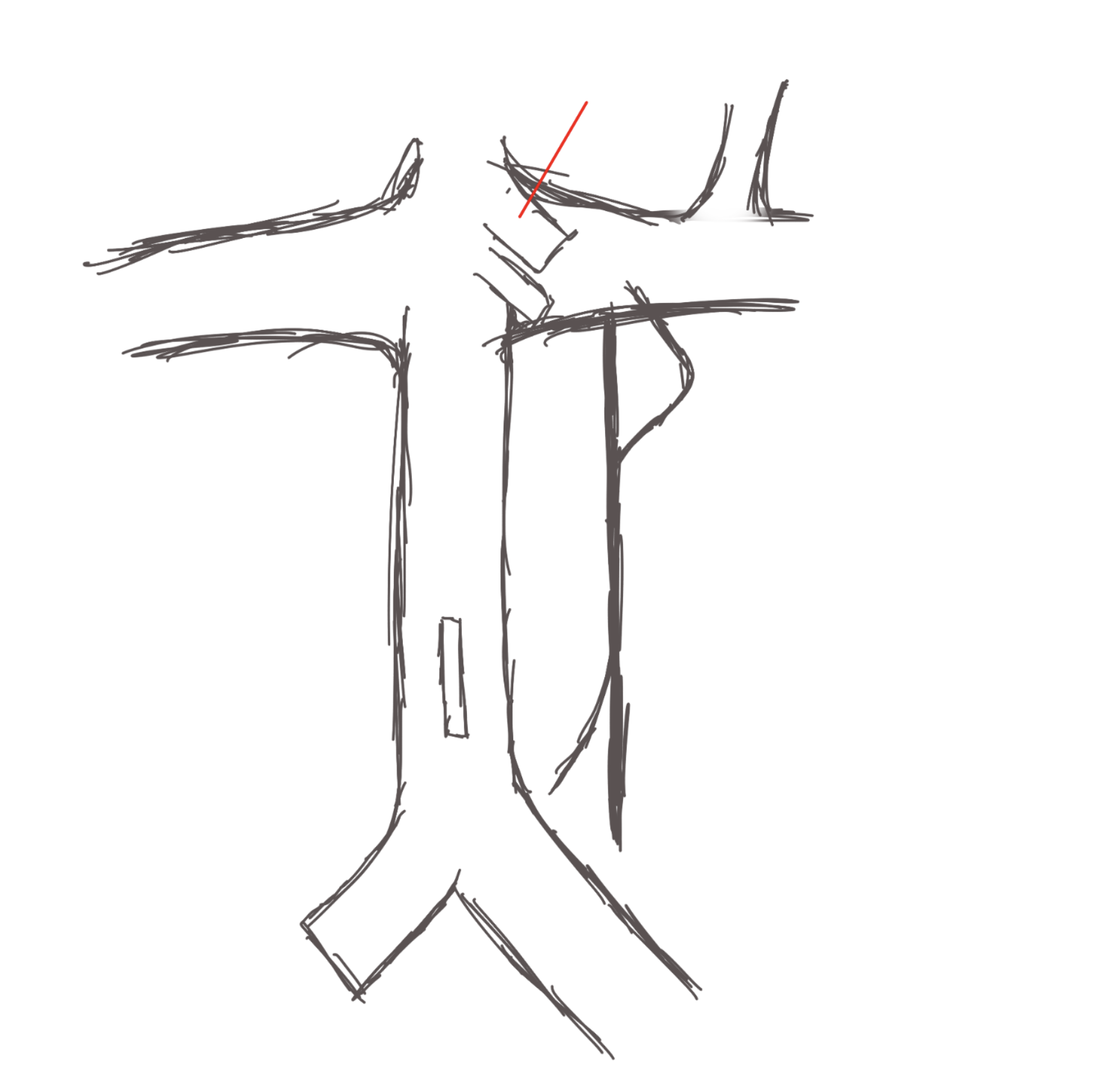 <p>structure. on top of abdominal aorta</p>