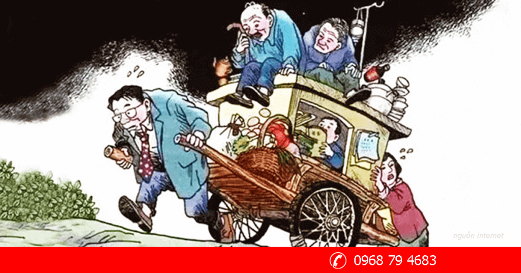 <p>người trụ cột gia đình </p>