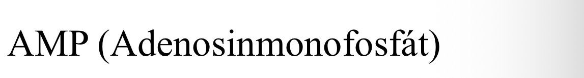 <p>AMP</p>