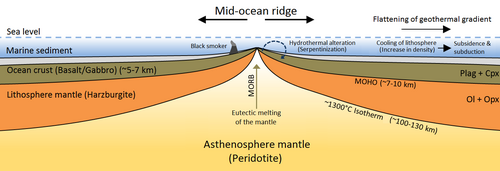 <p>What is happening at a mid-ocean ridge</p>