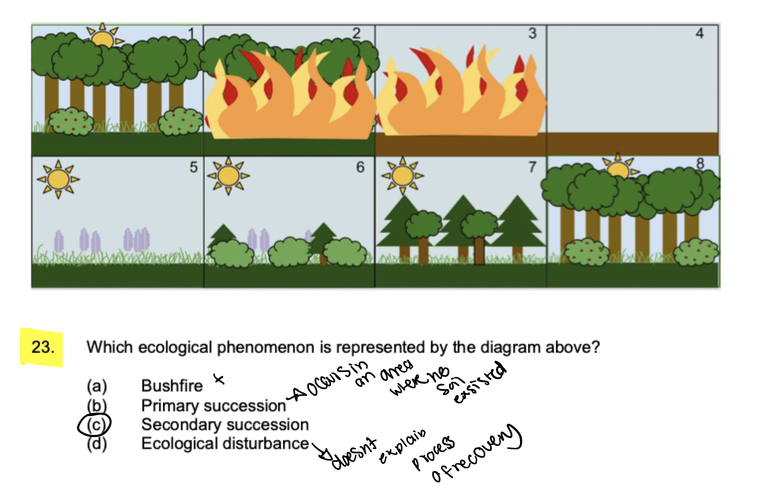 knowt flashcard image