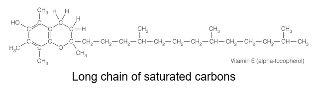 <p>What is Vitamin E?</p>