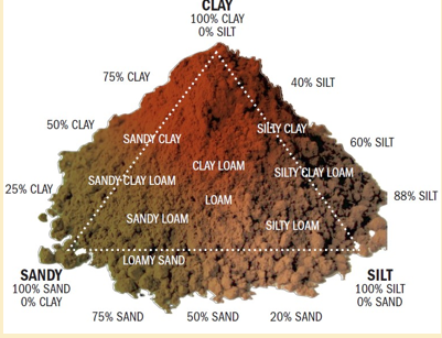 <p>The rate at which nutrients become available to primary producers —> determined by mineralization</p><p>influenced by temperature, moisture, pH, and chemical composition, and soil type </p><p>soil types -  classified by size of particles</p><p>sand = largest particles - does not hold water for a long time —> air can get in</p><p>silt= medium sized</p><p>clay = very small/fine particles- retain water for a long time—> air cannot get in</p>