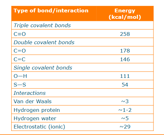 <p>Bonds and interactions within and between proteins impact thermal stability</p>