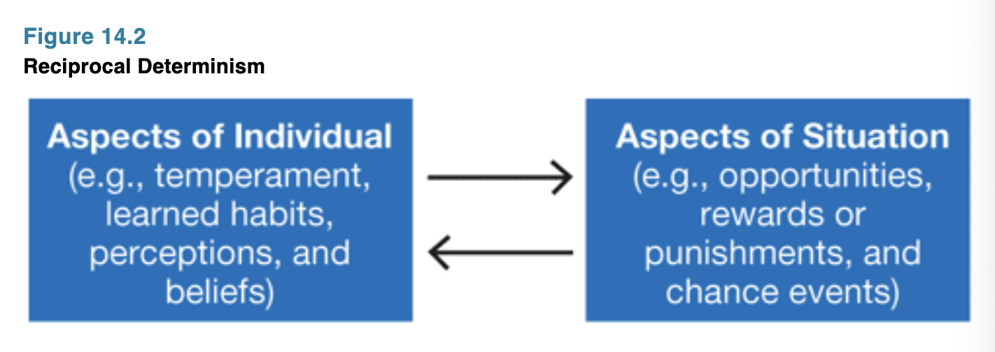 <p>temperament, habits, and beliefs influence social response, friends, and situations––situations influence beliefs and habits, rewarding some and extinguishing others</p>