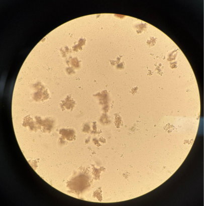 <p>identify</p>