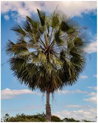 <p>Where is this?</p>